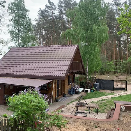 Dream Forest Cabin - Wiejska Chata W Lesie Варшава Екстер'єр фото